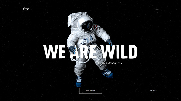 WILD 网页设计合理使用动画效果案例