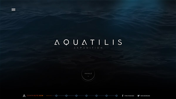 AQUATILIS EXPEDITION 网页设计合理使用动画效果案例